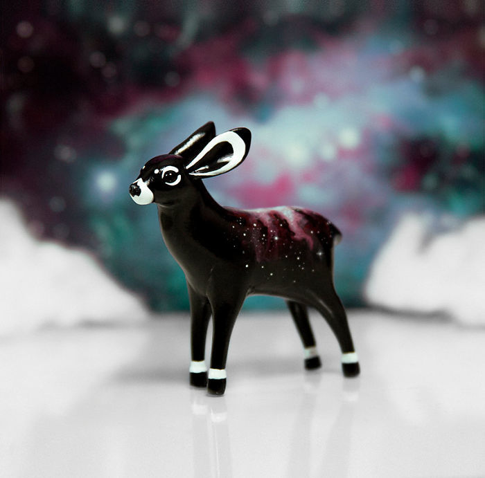 New Collection!